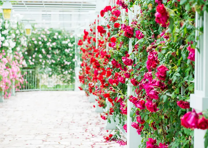 Relais Sassa Al Sole